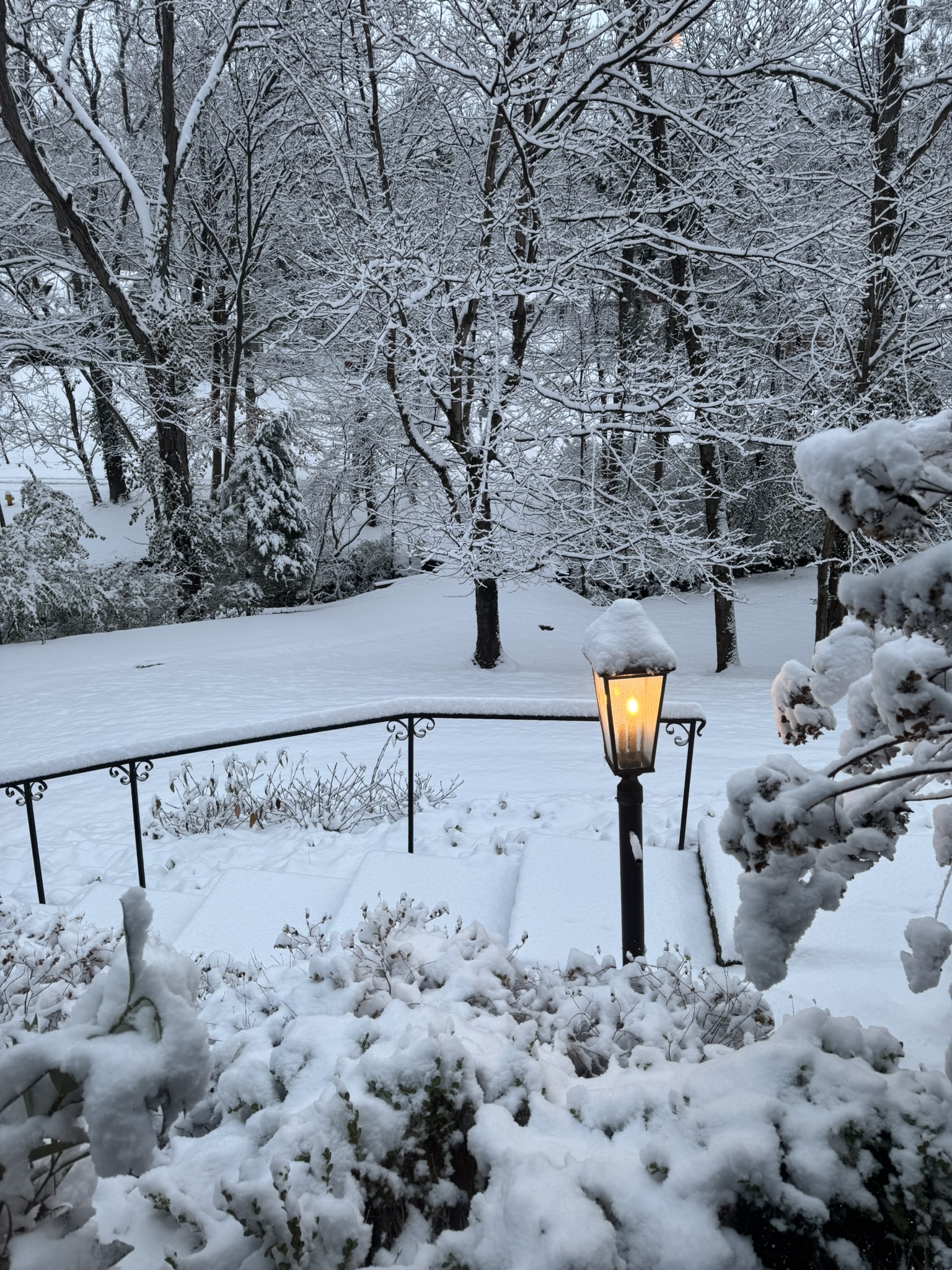 The Real Reason Failure Feels So Brutal